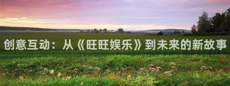 庄闲和游戏官网：创意互动：从《旺旺娱乐》到未来的新故事