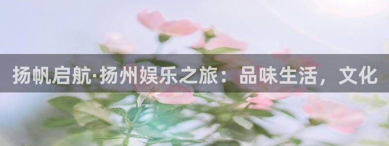 庄闲和游戏官网：扬帆启航·扬州娱乐之旅：品味生活，文化
