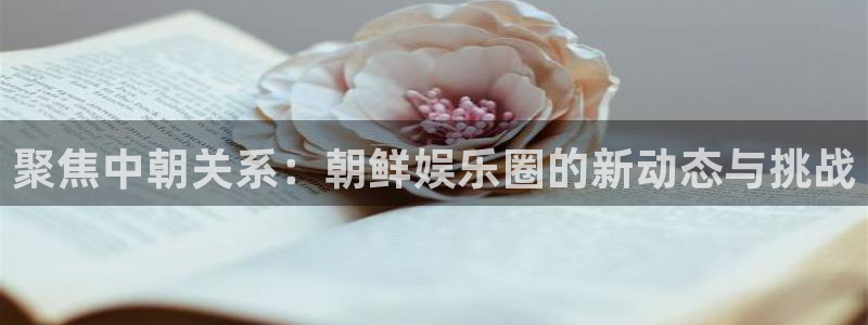 庄闲和游戏官网：聚焦中朝关系：朝鲜娱乐圈的新动态与挑战