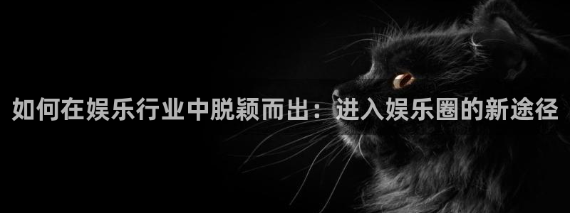 庄闲和游戏官网：如何在娱乐行业中脱颖而出：进入娱乐圈的新途径