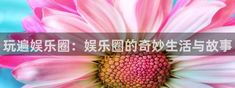 庄闲和游戏官网：玩遍娱乐圈：娱乐圈的奇妙生活与故事