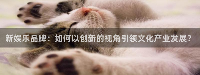 庄闲和游戏官网：新娱乐品牌：如何以创新的视角引领文化产业发展？