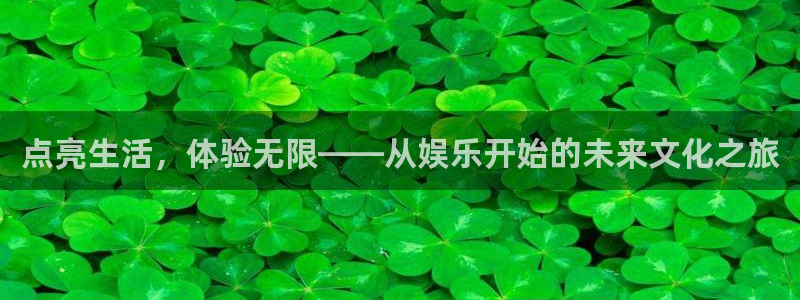 庄闲和游戏官网：点亮生活，体验无限——从娱乐开始的未来文化之旅