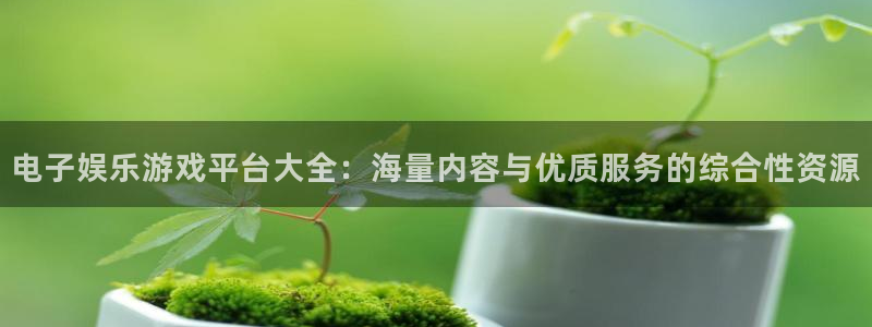 庄闲和游戏官网：电子娱乐游戏平台大全：海量内容与优质服务的综合性资源