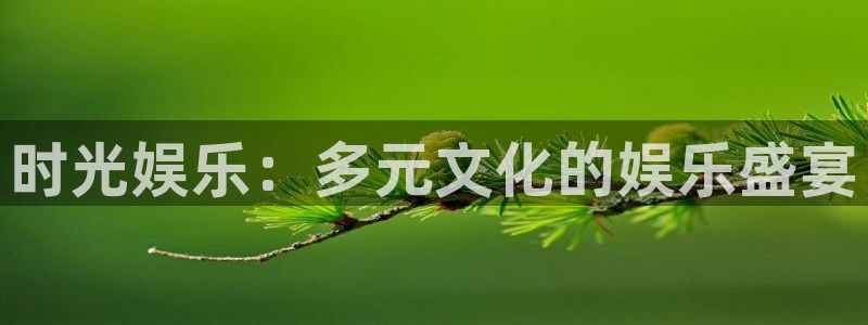 庄闲和游戏官网：时光娱乐：多元文化的娱乐盛宴