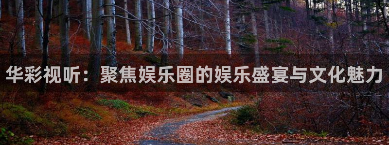 庄闲和游戏官网：华彩视听：聚焦娱乐圈的娱乐盛宴与文化魅力