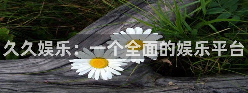 庄闲和游戏官网：久久娱乐：一个全面的娱乐平台