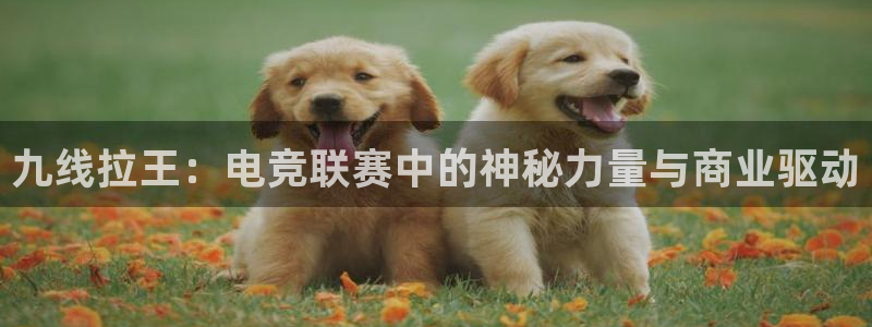 庄闲和游戏官网：九线拉王：电竞联赛中的神秘力量与商业驱动
