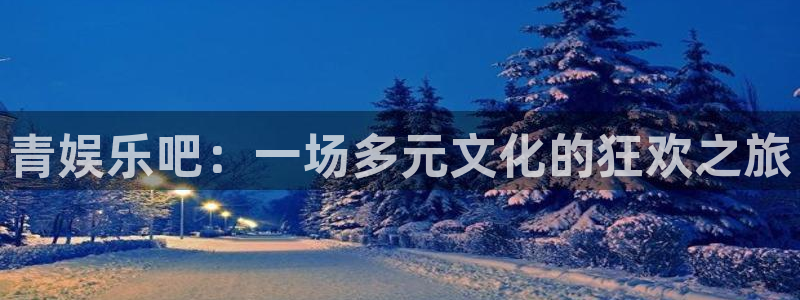 庄闲和游戏官网：青娱乐吧：一场多元文化的狂欢之旅