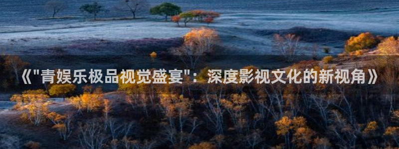 庄闲和游戏官网：《\