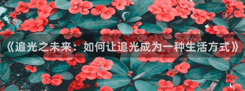 庄闲和游戏官网：《追光之未来：如何让追光成为一种生活方式》
