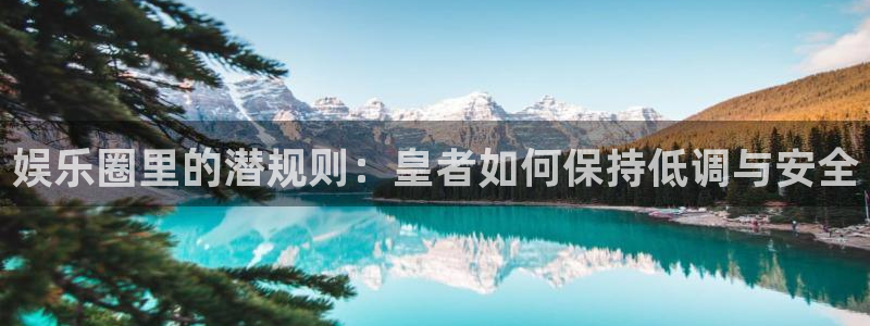 庄闲和游戏官网：娱乐圈里的潜规则：皇者如何保持低调与安全