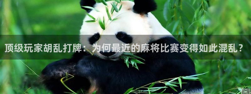 庄闲和游戏官网：顶级玩家胡乱打牌：为何最近的麻将比赛变得如此混乱？